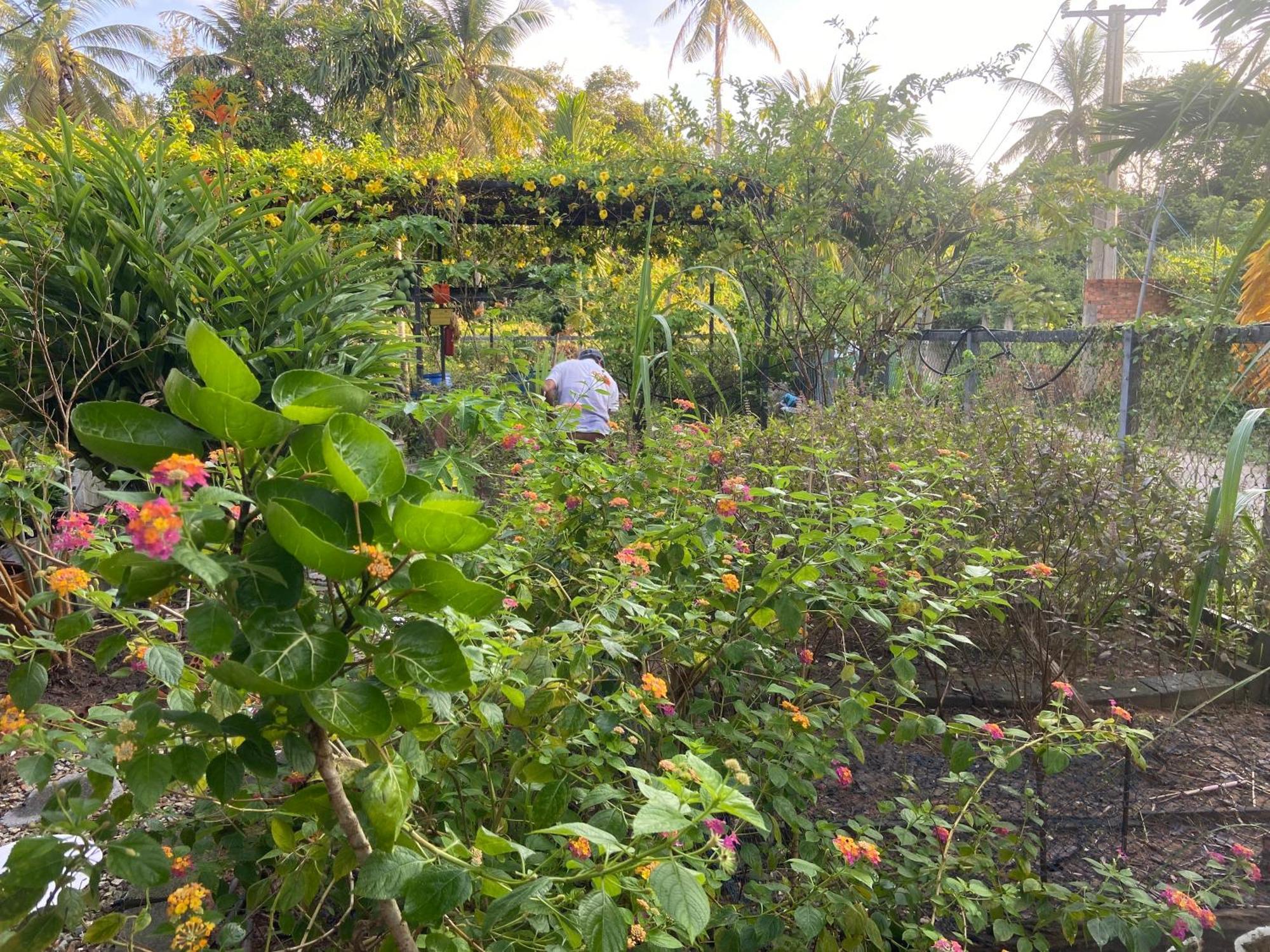 Lana Land Homestay Phu Quoc Dış mekan fotoğraf